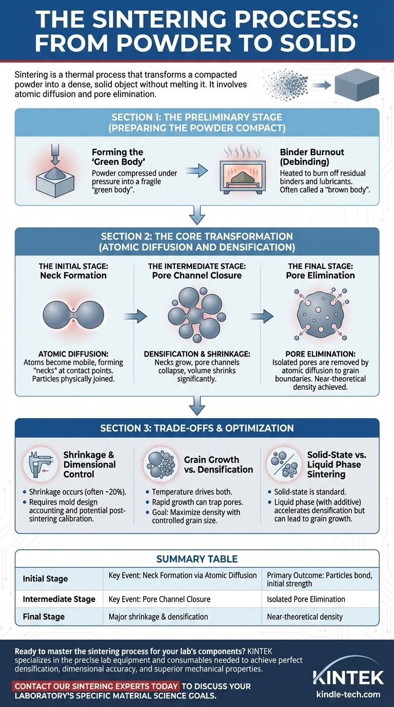 Que eventos ocorrem durante a sinterização? Do Pó ao Sólido em 3 Etapas Chave Guia Visual