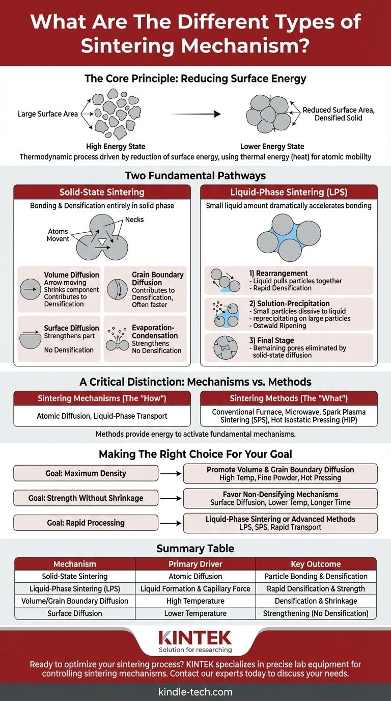 ¿Cuáles son los diferentes tipos de mecanismos de sinterización? Dominar la sinterización en estado sólido vs. en fase líquida Guía Visual