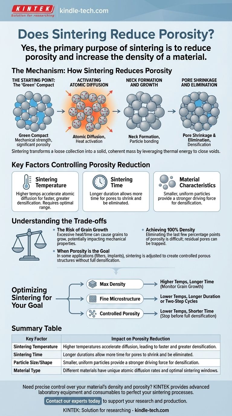 烧结会减少孔隙率吗？掌握材料致密化的科学 图解指南