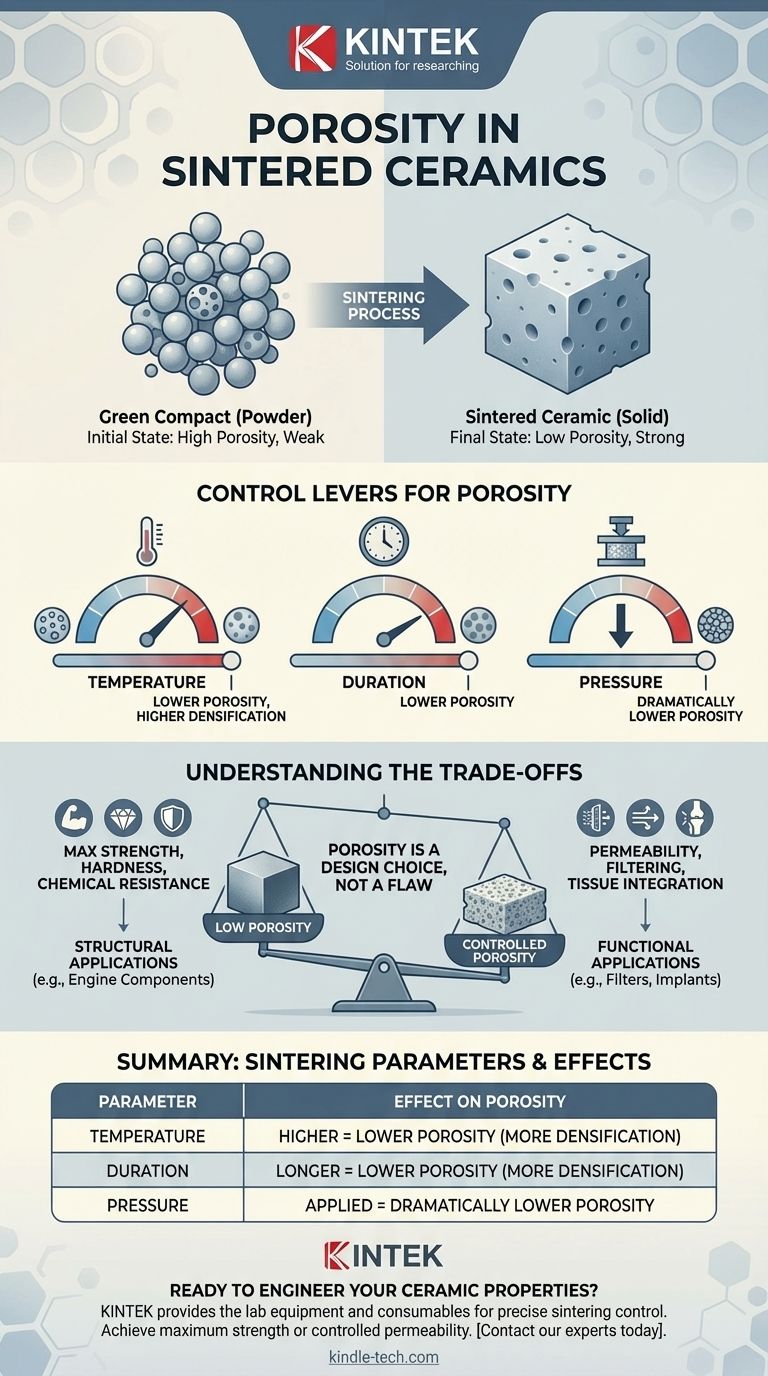 Какова пористость спеченной керамики? Руководство по свойствам инженерных материалов Визуальное руководство
