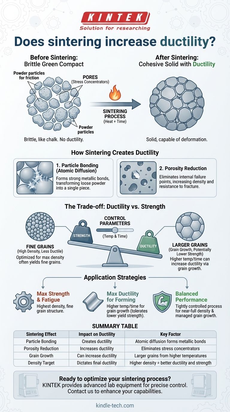 烧结会增加延展性吗？掌握权衡以优化材料性能 图解指南
