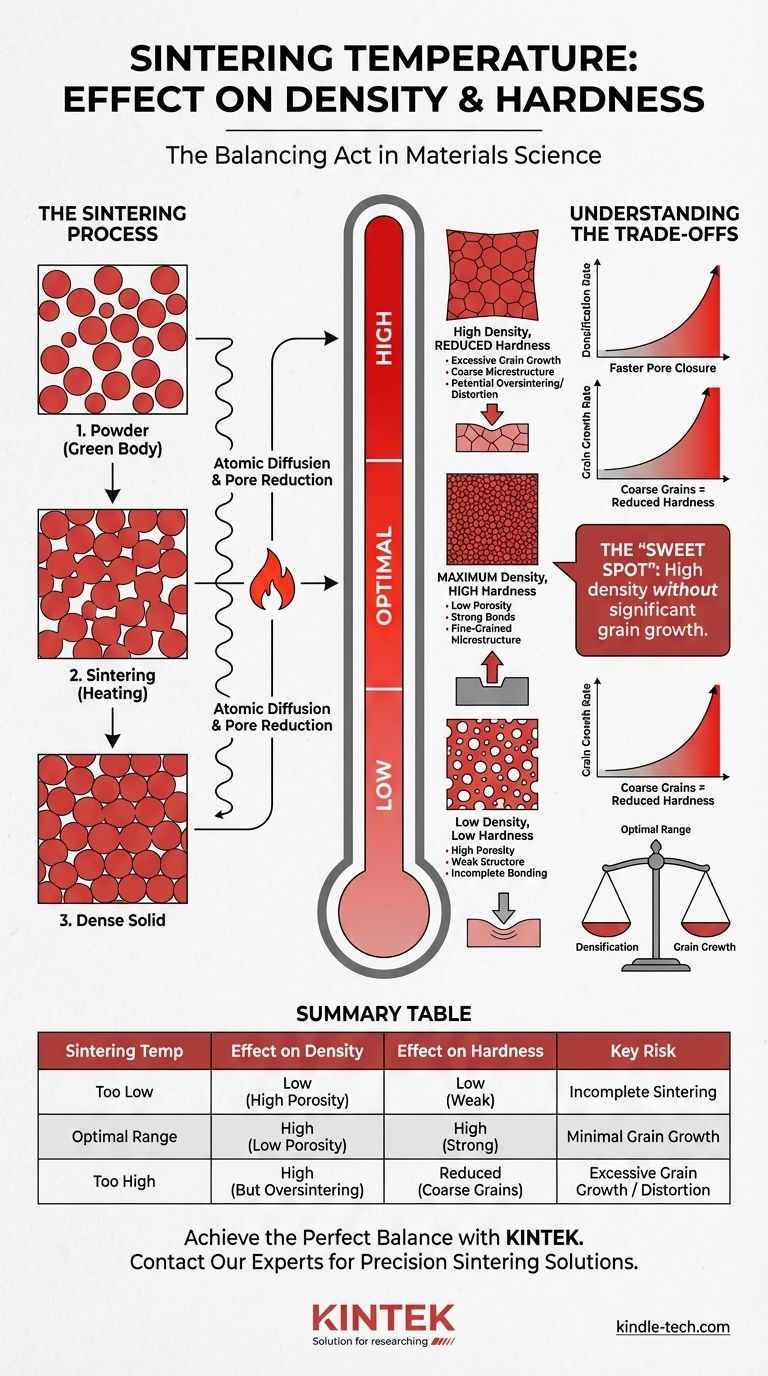 Qual è l'effetto della temperatura di sinterizzazione sulla densità e sulla durezza? Ottimizza le proprietà del tuo materiale Guida Visiva