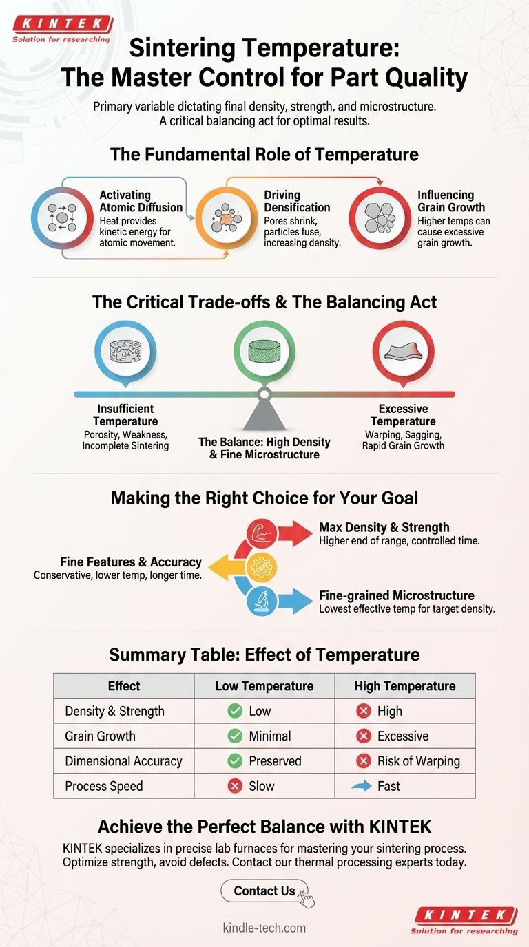 소결 온도의 영향은 무엇인가요? 밀도와 미세 구조 사이의 균형 마스터하기 시각적 가이드