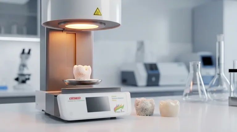 Wie beeinflusst die Sintertemperatur die Porosität? Beherrschen Sie das thermische Gleichgewicht für optimale Materialdichte