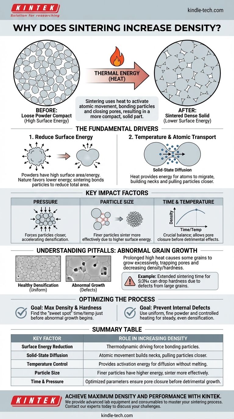 Why does sintering increase density? Unlock the Secrets to Superior Material Performance Visual Guide
