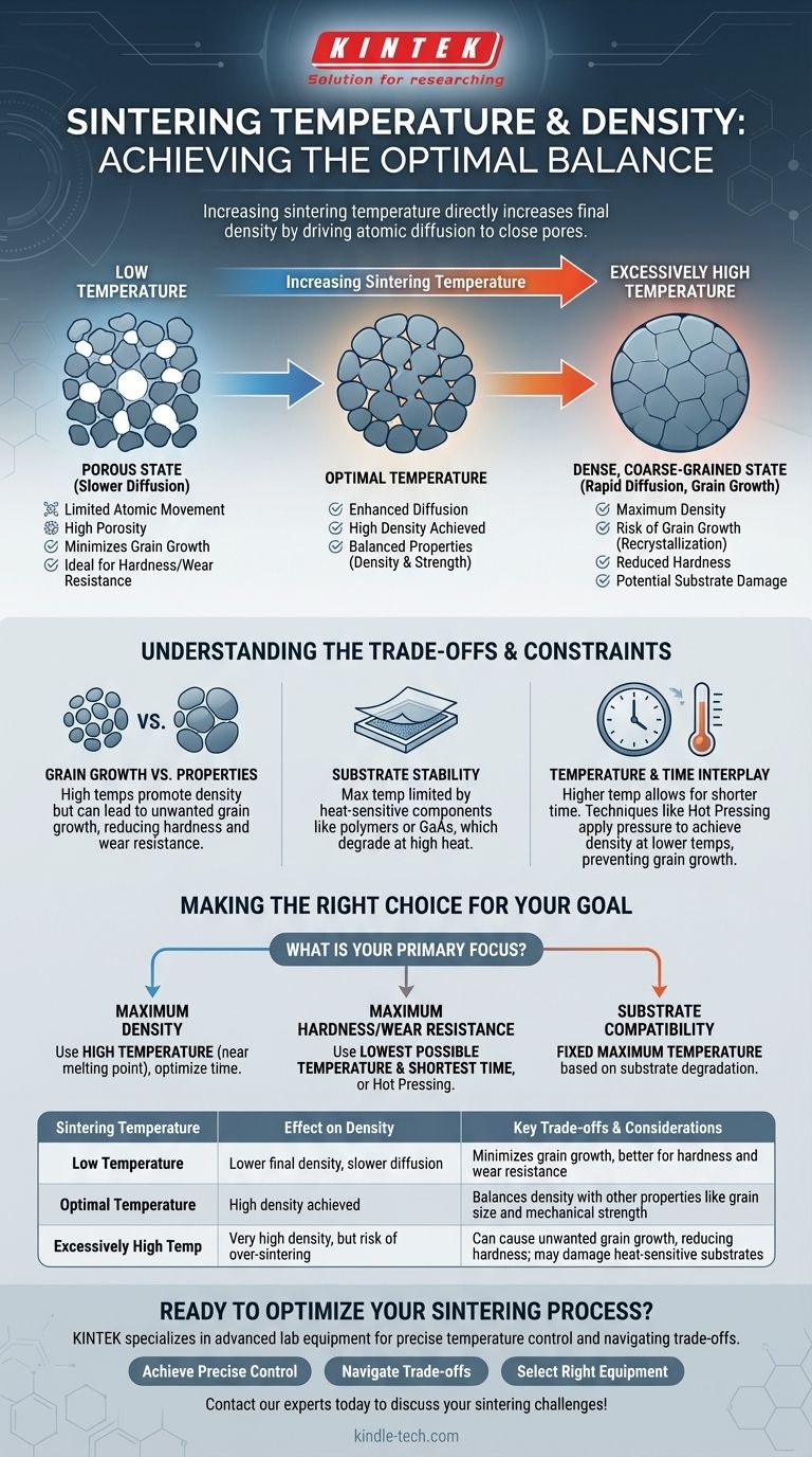 Quel est l'effet de la température de frittage sur la densité ? Maîtriser l'équilibre pour des propriétés matérielles optimales Guide Visuel