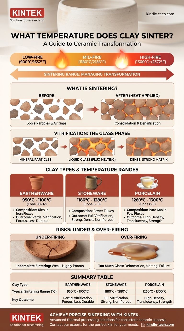 ما هي درجة الحرارة التي تتلبد فيها الطين؟ إتقان النطاق للحصول على نتائج سيراميك مثالية دليل مرئي