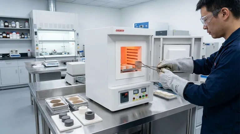 Обжиг и спекание — это одно и то же? Поймите критическую разницу для ваших материалов