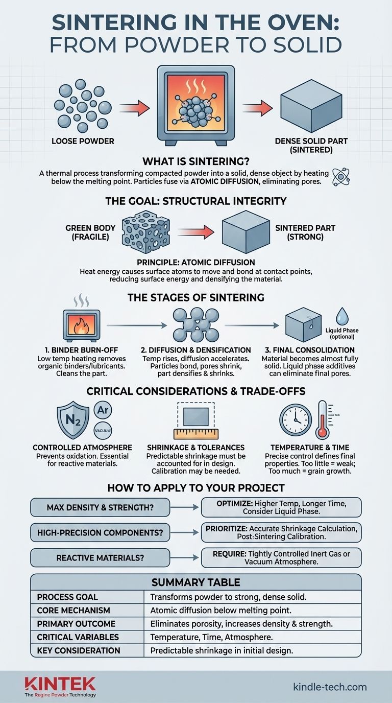 Что такое спекание в печи? Ключ к превращению порошка в плотные, прочные детали Визуальное руководство