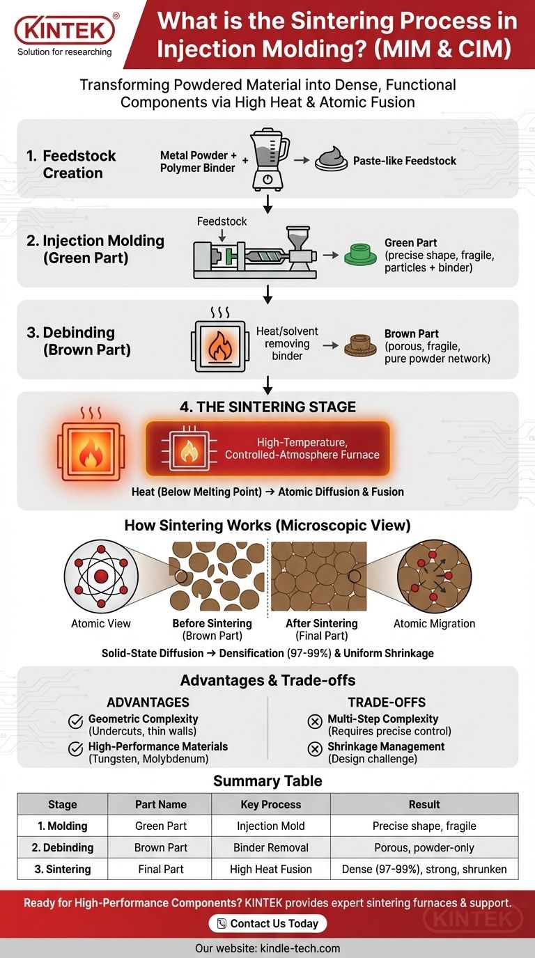 射出成形における焼結プロセスとは何ですか？高密度で複雑な金属・セラミック部品の鍵 ビジュアルガイド
