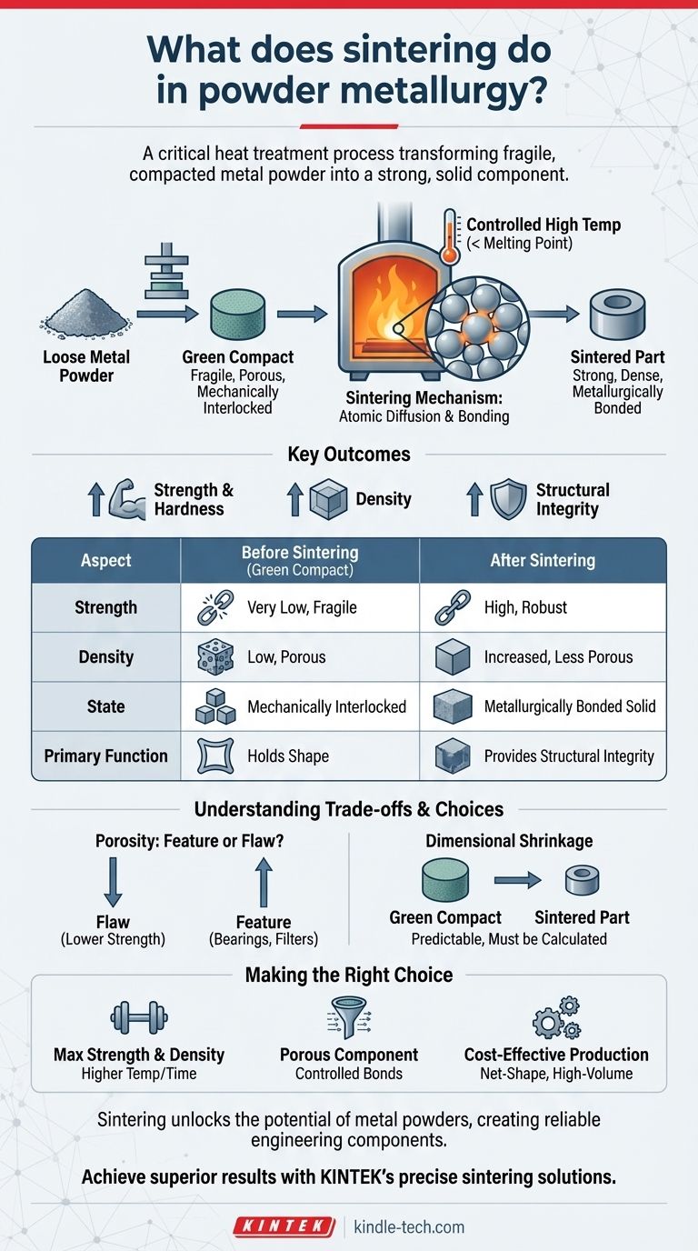 분말 야금에서 소결(sintering)은 어떤 역할을 합니까? 분말을 강하고 단단한 부품으로 변환 시각적 가이드