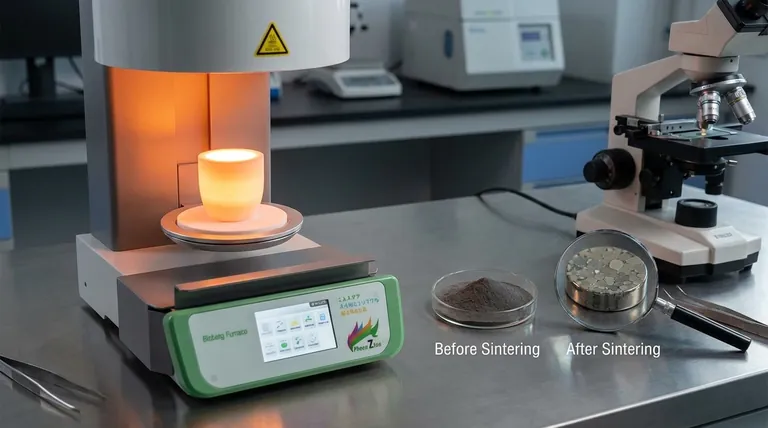 A sinterização diminui o tamanho do grão? A verdade sobre o crescimento do grão e a densidade do material