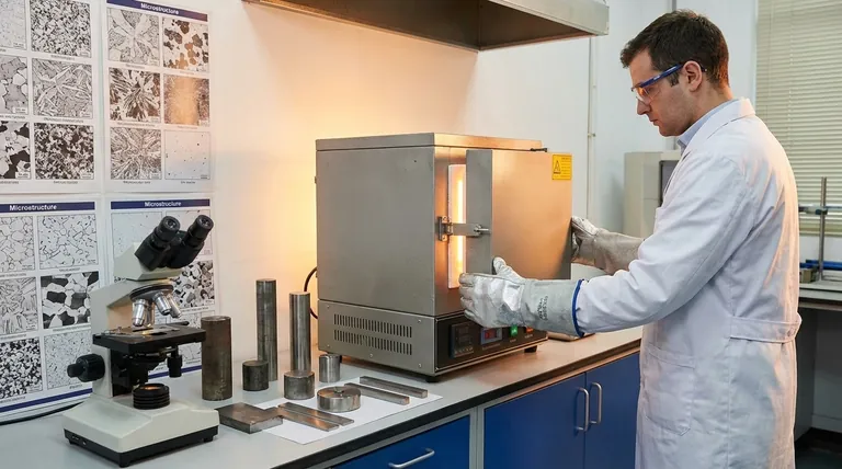 ¿Cuáles son los cinco procesos básicos de tratamiento térmico de los metales? Recocido maestro, endurecimiento y más