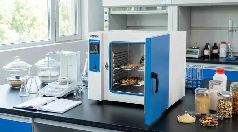 Quali sono gli usi del forno in un laboratorio di chimica alimentare? Ottenere una preparazione e un'analisi precise dei campioni