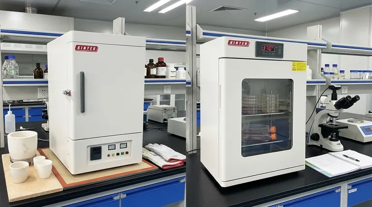 Um forno de laboratório pode ser usado como incubadora? Evite erros dispendiosos com suas amostras