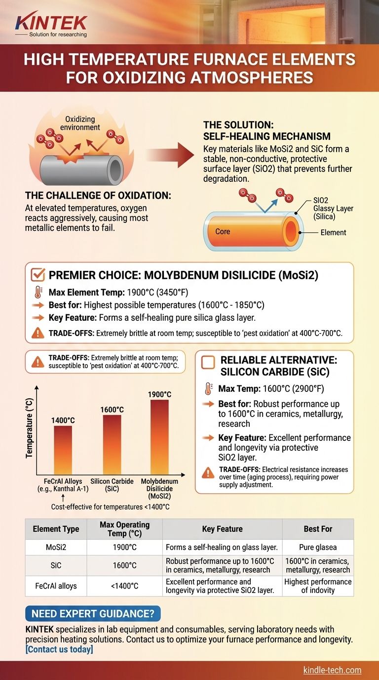 在氧化气氛中应使用哪种高温炉元件？MoSi2 还是 SiC 以获得卓越性能 图解指南