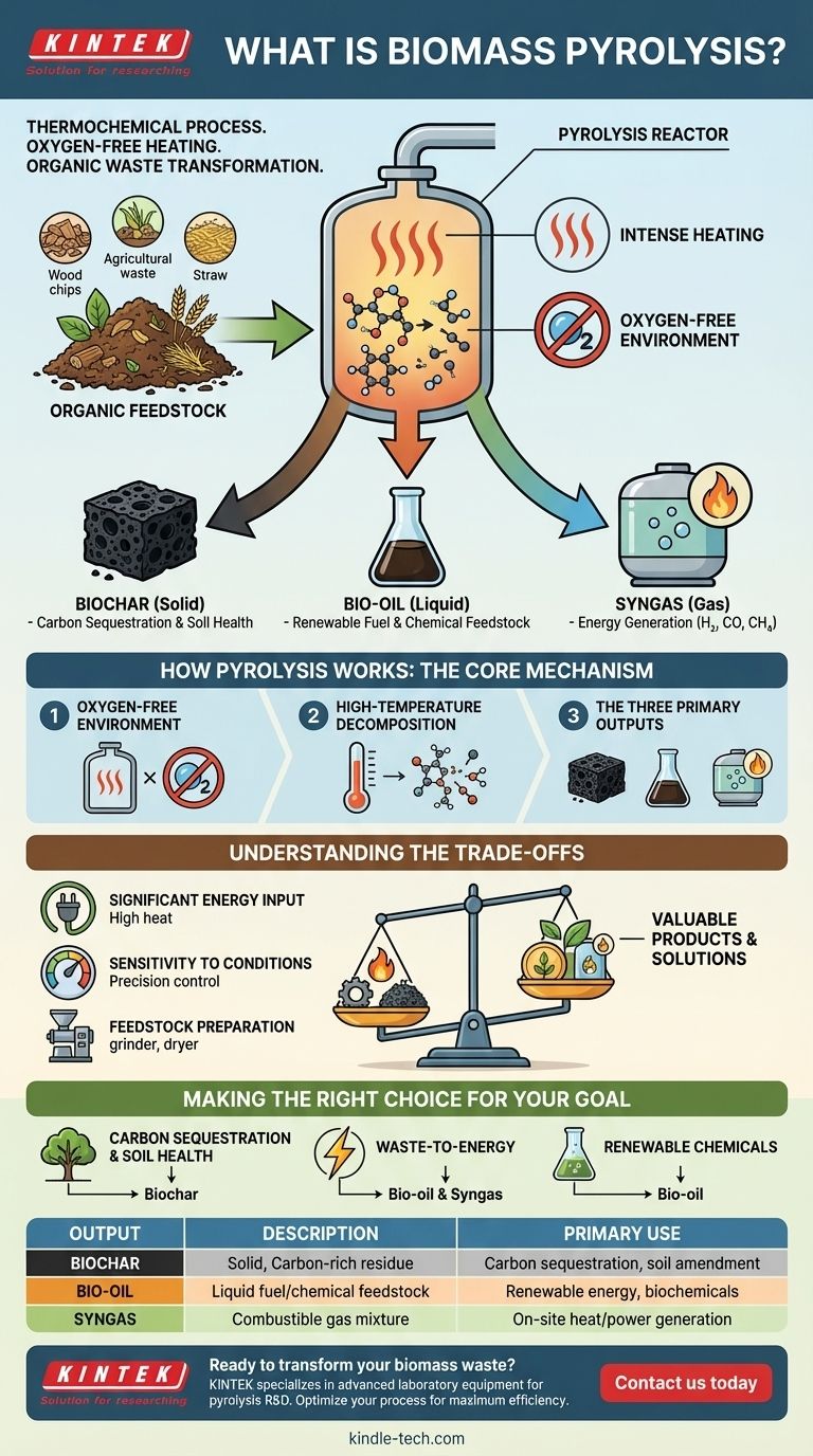ما هو الانحلال الحراري للكتلة الحيوية؟ تحويل النفايات إلى فحم حيوي، وزيت حيوي، وغاز تخليقي دليل مرئي
