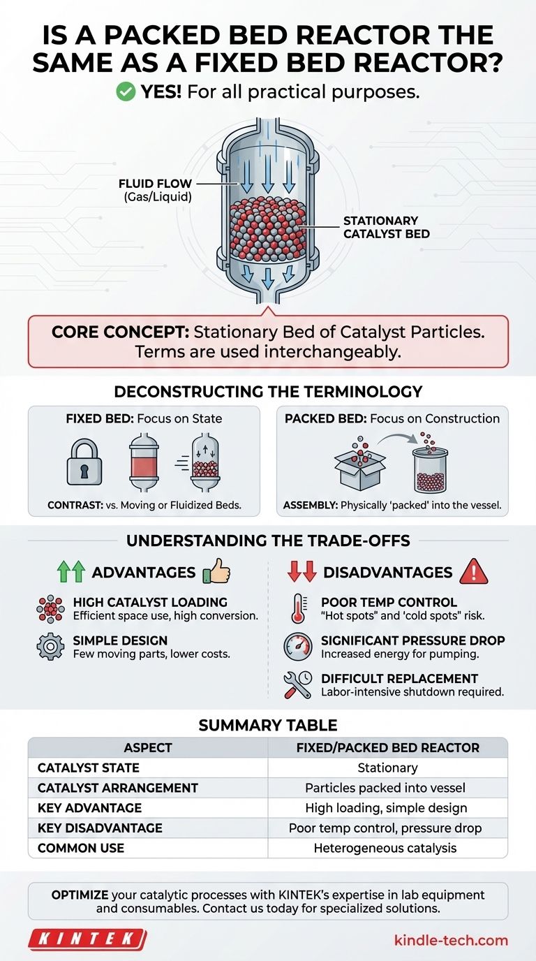 هل مفاعل السرير المعبأ هو نفسه مفاعل السرير الثابت؟ فهم التصميم الأساسي للمفاعلات الحفازة دليل مرئي