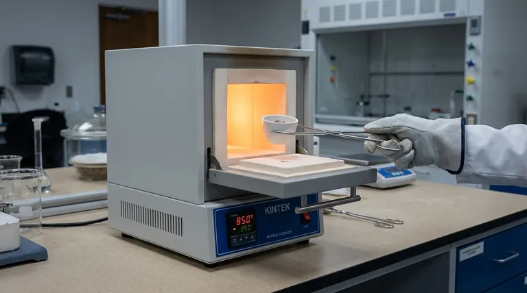 ¿Cómo se utiliza un horno de mufla? Una guía paso a paso para una operación segura y precisa