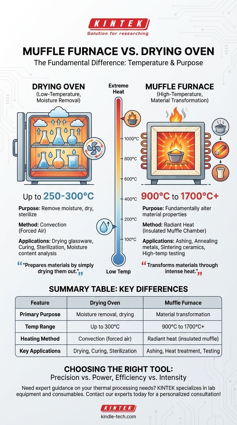 ما هو الفرق بين فرن الكي (muffle furnace) وفرن التجفيف (drying oven)؟ اختر الأداة الحرارية المناسبة دليل مرئي
