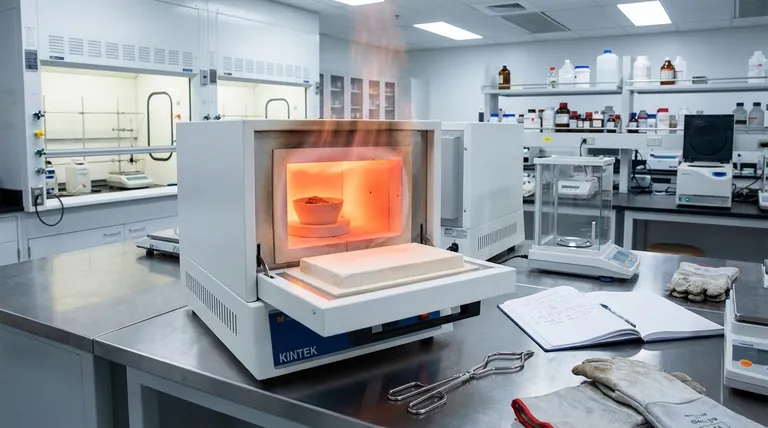 전기로의 용도는 무엇입니까? 순수하고 고온의 공정 달성