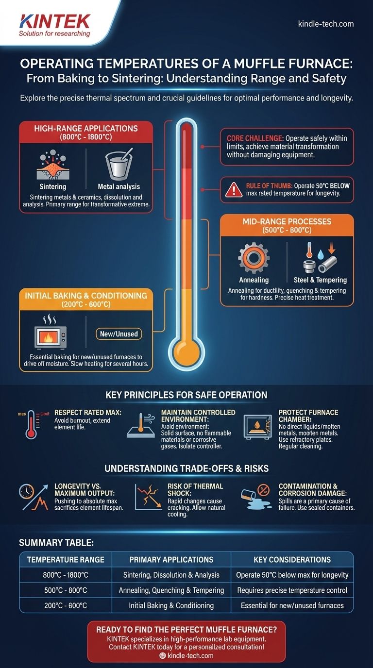 Quelle est la température de fonctionnement d'un four à moufle ? De 200°C à 1800°C pour votre application Guide Visuel