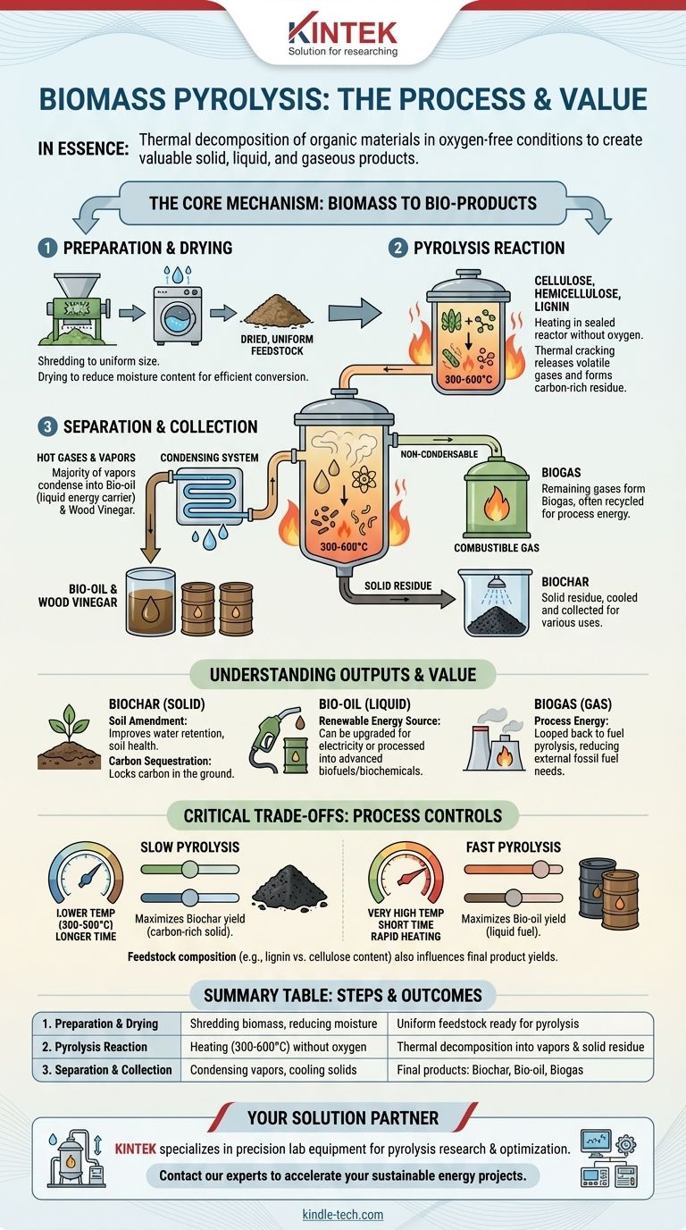 Quelles sont les étapes de la pyrolyse de la biomasse ? Transformer les déchets en biochar, bio-huile et biogaz Guide Visuel