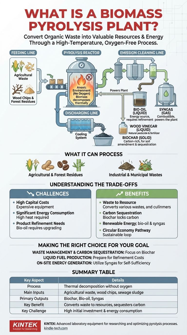 Что такое установка пиролиза биомассы? Превратите отходы в возобновляемую энергию и биоуголь Визуальное руководство