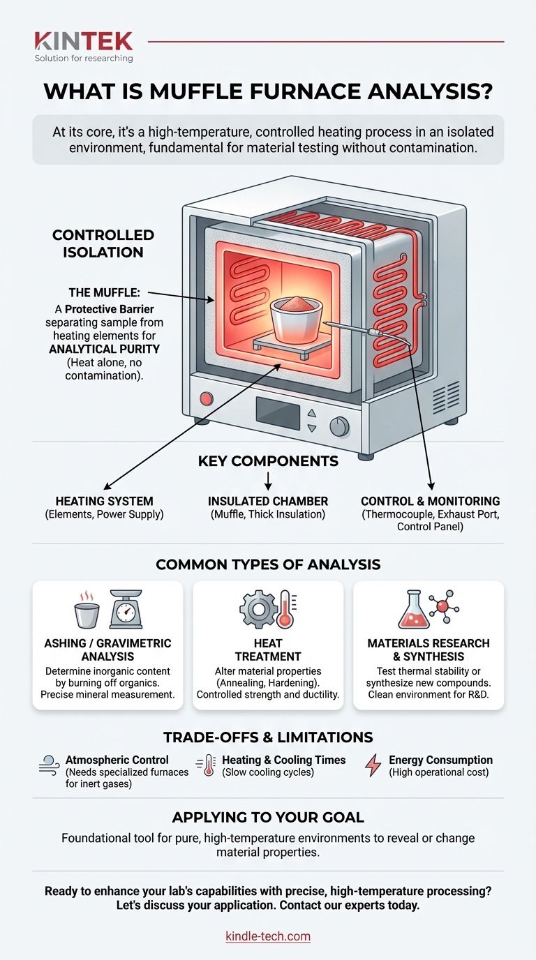 Cos'è l'analisi con forno a muffola? Ottieni una lavorazione pura e ad alta temperatura per i tuoi materiali Guida Visiva