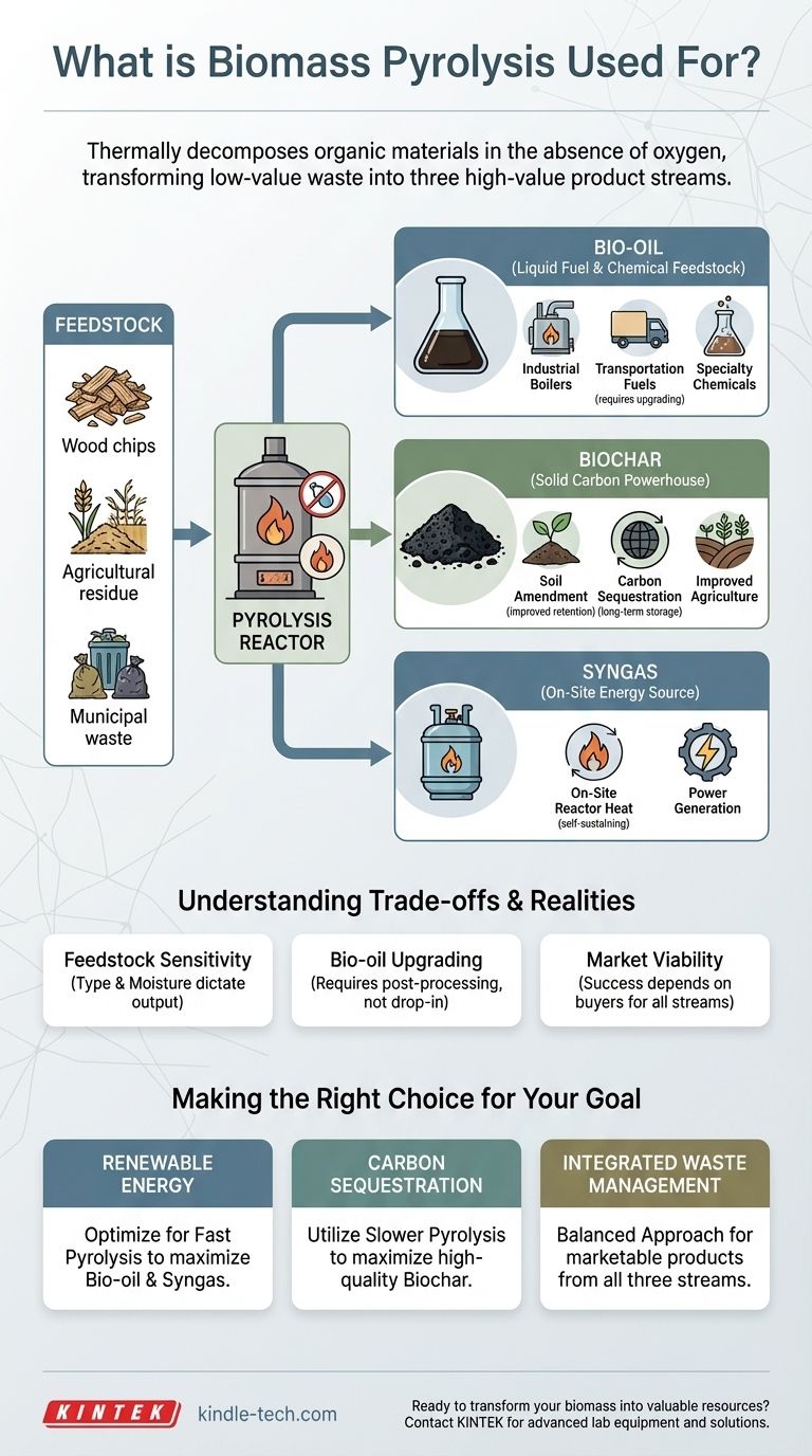 À quoi sert la pyrolyse de la biomasse ? Transformer les déchets en énergie renouvelable et en produits de valeur Guide Visuel