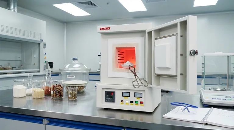 Qual é a importância da determinação de cinzas nos alimentos? Uma chave para a qualidade, nutrição e pureza