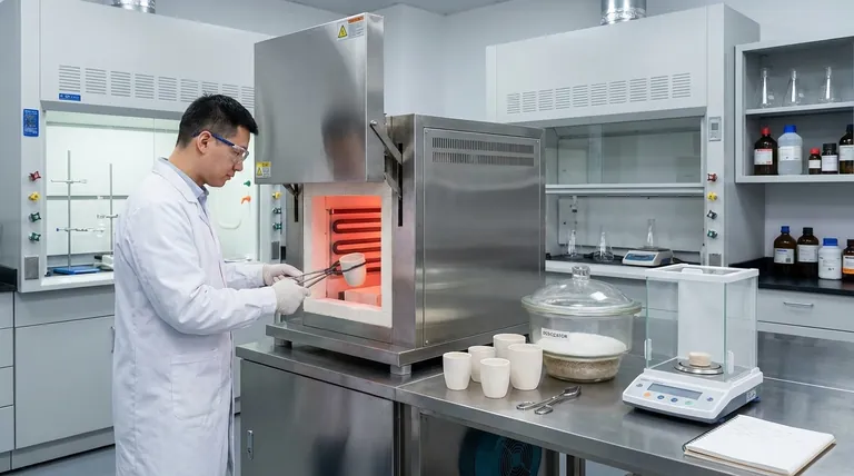 Qual è l'uso della muffola in un laboratorio alimentare? Essenziale per l'analisi nutrizionale accurata e il controllo qualità