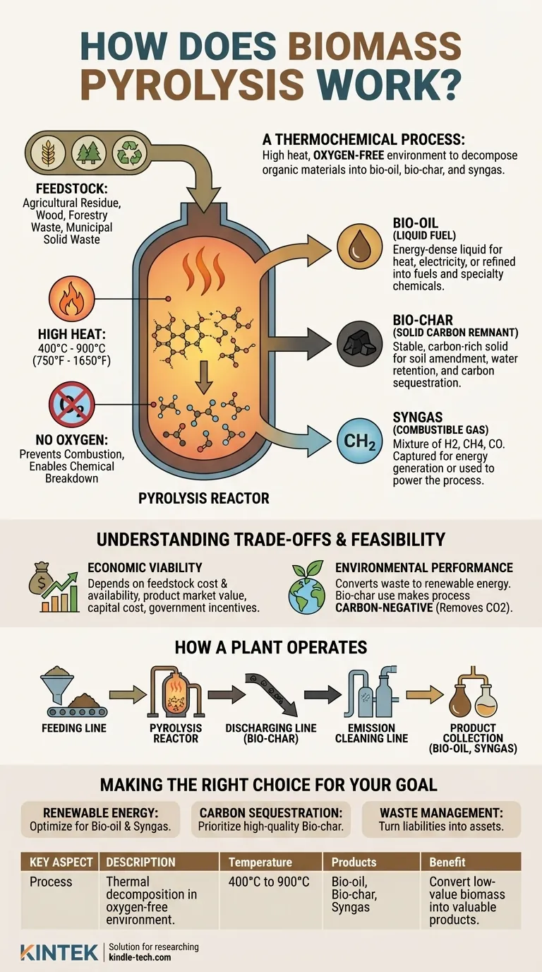 Come funziona la pirolisi della biomassa? Trasformare i rifiuti organici in bio-olio, bio-char e syngas Guida Visiva
