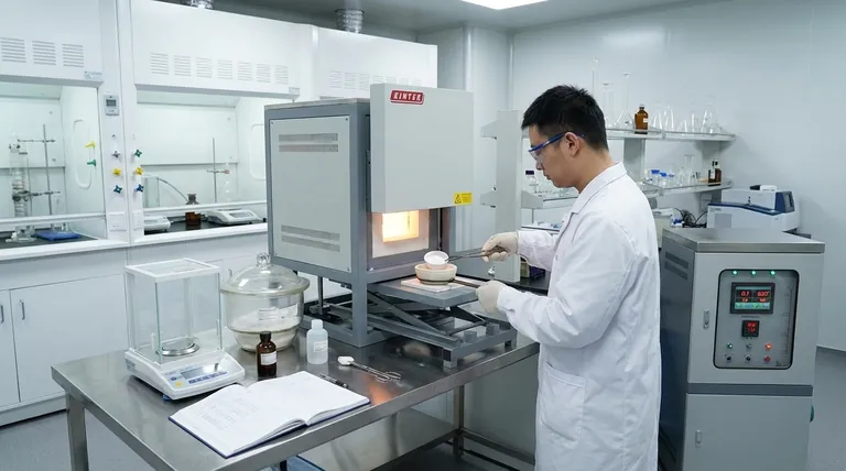 ما هو استخدام فرن التخشين (Muffle Furnace) في المستحضرات الصيدلانية؟ ضروري للنقاء ومراقبة الجودة