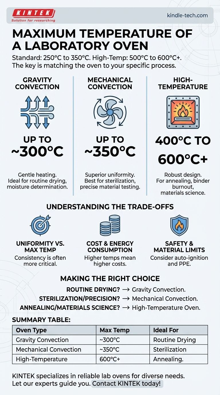 Qual è la temperatura massima di una stufa da laboratorio? Trova la stufa giusta per il tuo processo Guida Visiva