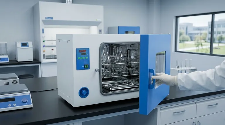 What is a lab drying oven used for? Master Moisture Removal & Sterilization for Your Lab