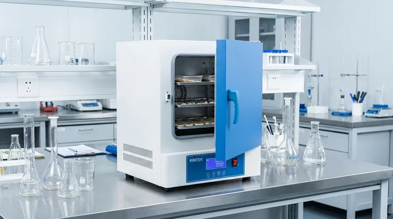 ماذا يفعل فرن المختبر في المختبر؟ تحقيق المعالجة الحرارية الدقيقة لمختبرك