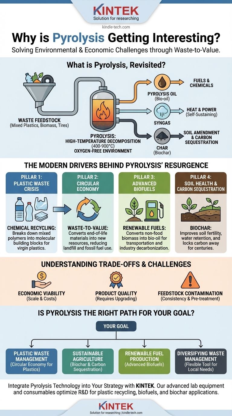 Why is pyrolysis getting interesting in recent times? Unlock Waste-to-Value Solutions for a Circular Economy Visual Guide