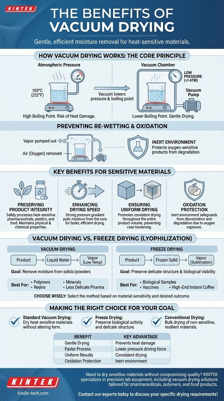 真空干燥的好处是什么？为敏感材料实现温和、高效的干燥 图解指南