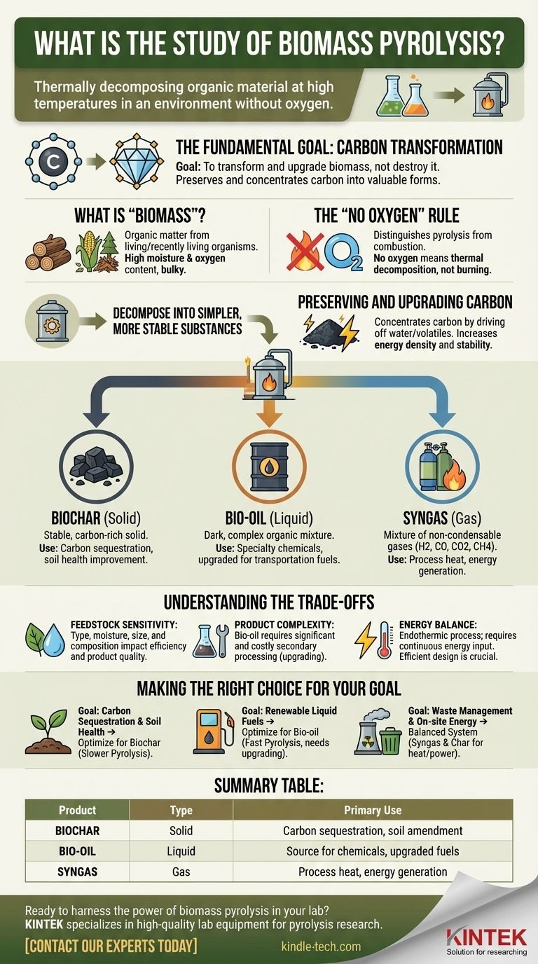 Cos'è lo studio della pirolisi della biomassa? Trasformare i rifiuti in preziosi biochar, bio-olio e syngas Guida Visiva