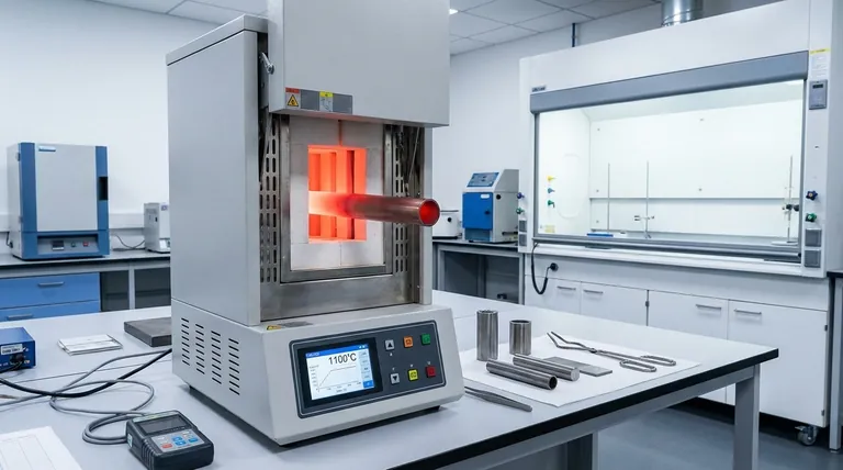 ما هي درجة حرارة التلدين للأنابيب؟ دليل للنطاقات الخاصة بالمواد لتحقيق أفضل النتائج