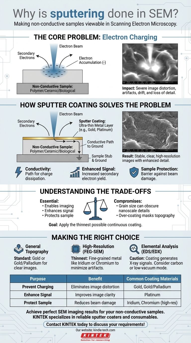 Зачем в СЭМ проводят напыление? Предотвращение накопления заряда и получение четких изображений непроводящих образцов Визуальное руководство