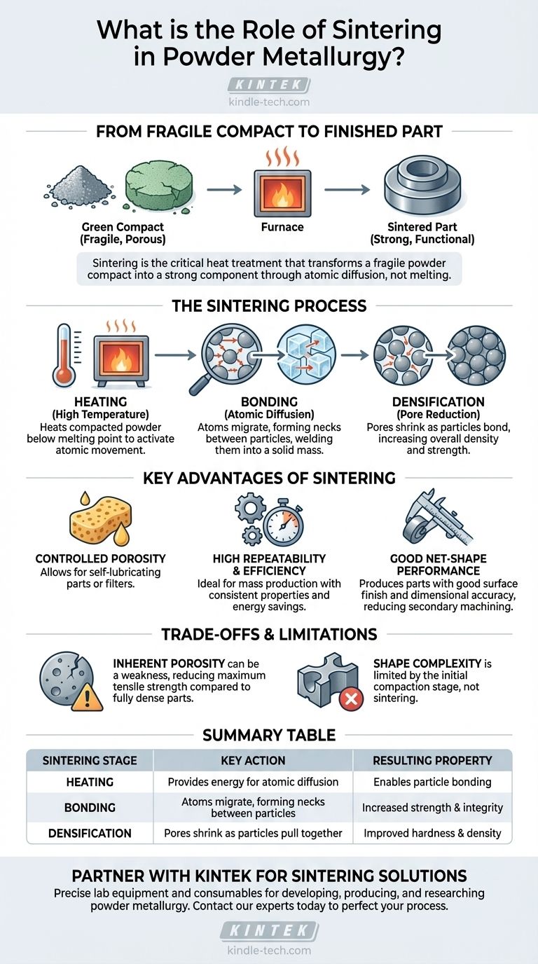 ما هو دور التلبيد في علم المساحيق المعدنية؟ تحويل المسحوق إلى أجزاء معدنية متينة دليل مرئي