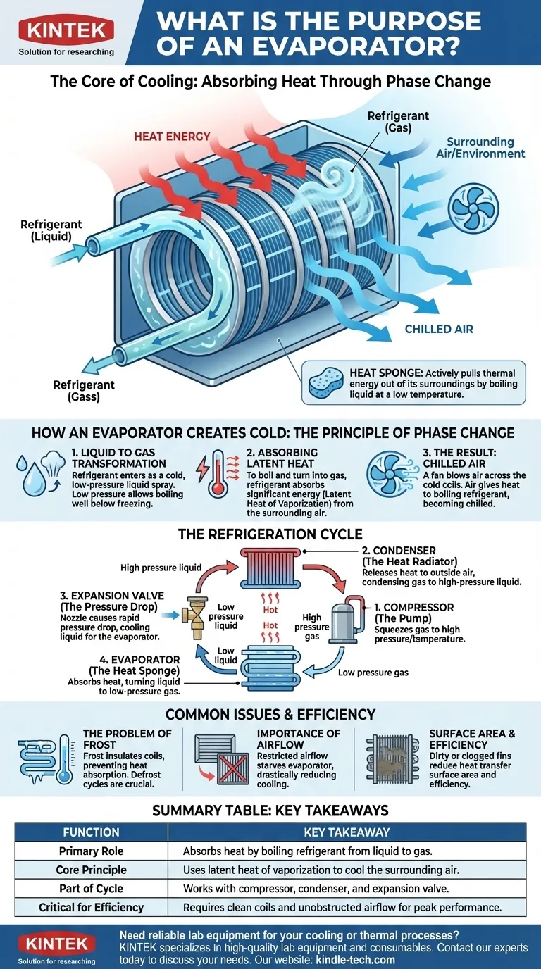 Какова функция испарителя? Ключевой компонент, создающий охлаждение Визуальное руководство