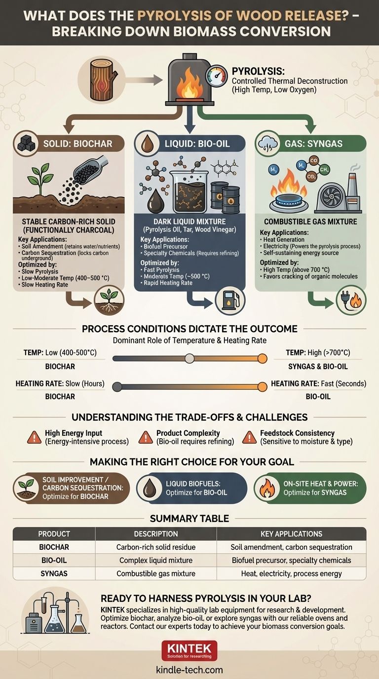 Что выделяется при пиролизе древесины? Получение биоугля, биомасла и синтез-газа Визуальное руководство