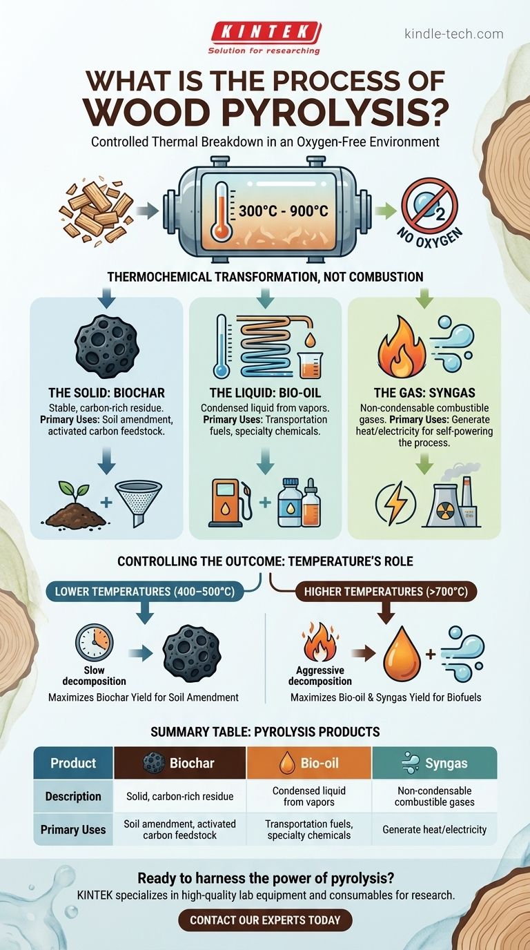 ¿Cuál es el proceso de pirólisis de la madera? Una guía para convertir la madera en biocarbón, bioaceite y gas de síntesis Guía Visual