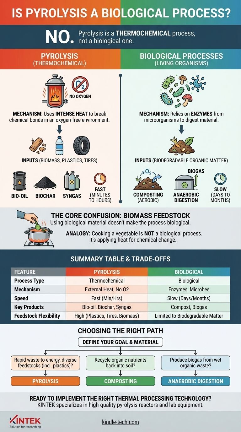 ¿Es la pirólisis un proceso biológico? Desglosando la descomposición termoquímica frente a la biológica Guía Visual