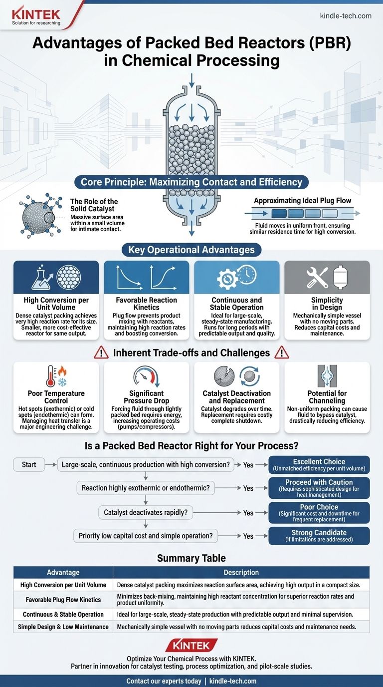 Quali sono i vantaggi di un reattore a letto impaccato? Alta conversione ed efficienza per i processi industriali Guida Visiva