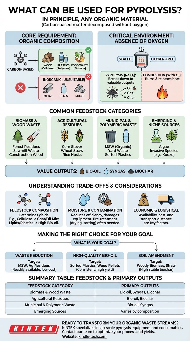 熱分解には何が利用できますか？有機廃棄物を貴重な資源に変える ビジュアルガイド