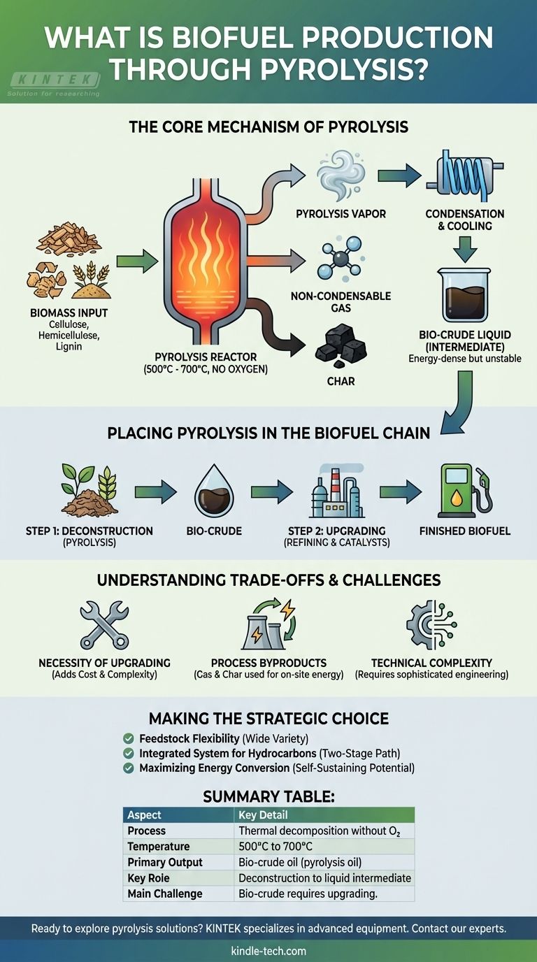 Cos'è la produzione di biocarburanti tramite pirolisi? Sbloccare l'energia dalla biomassa con la decostruzione termica Guida Visiva